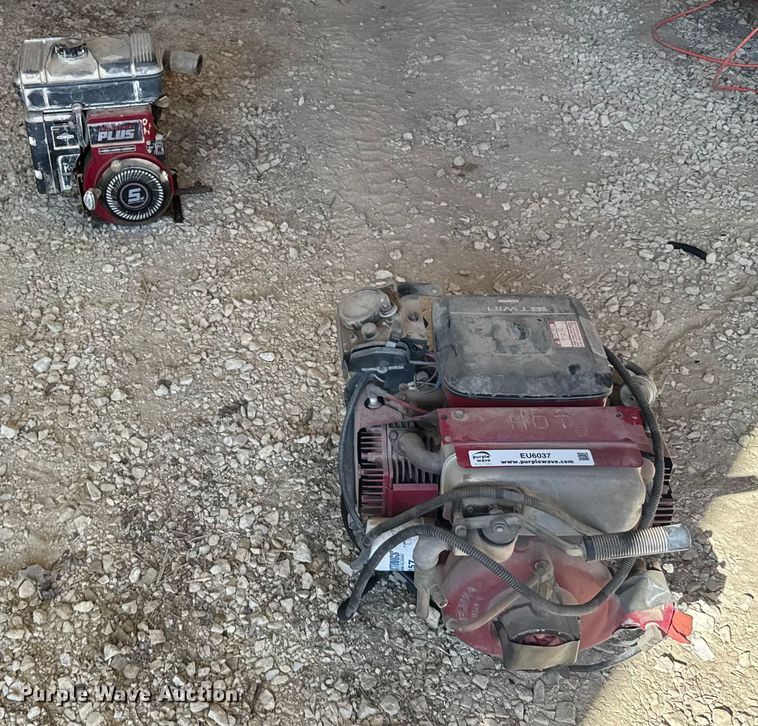 image for item EU6037 (2) pumps