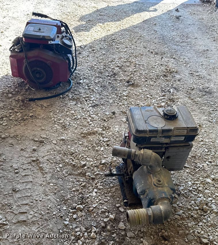 image for item EU6037 (2) pumps