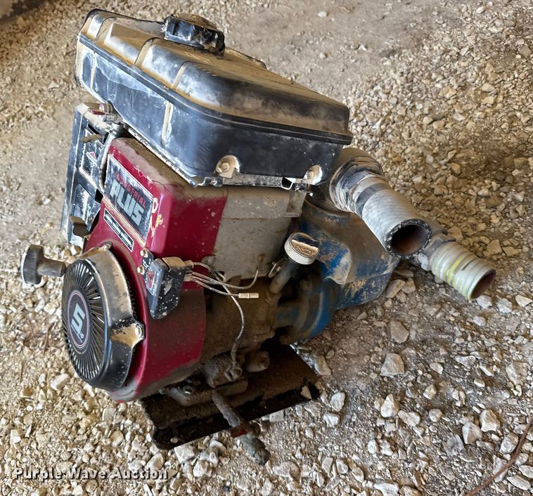 image for item EU6037 (2) pumps