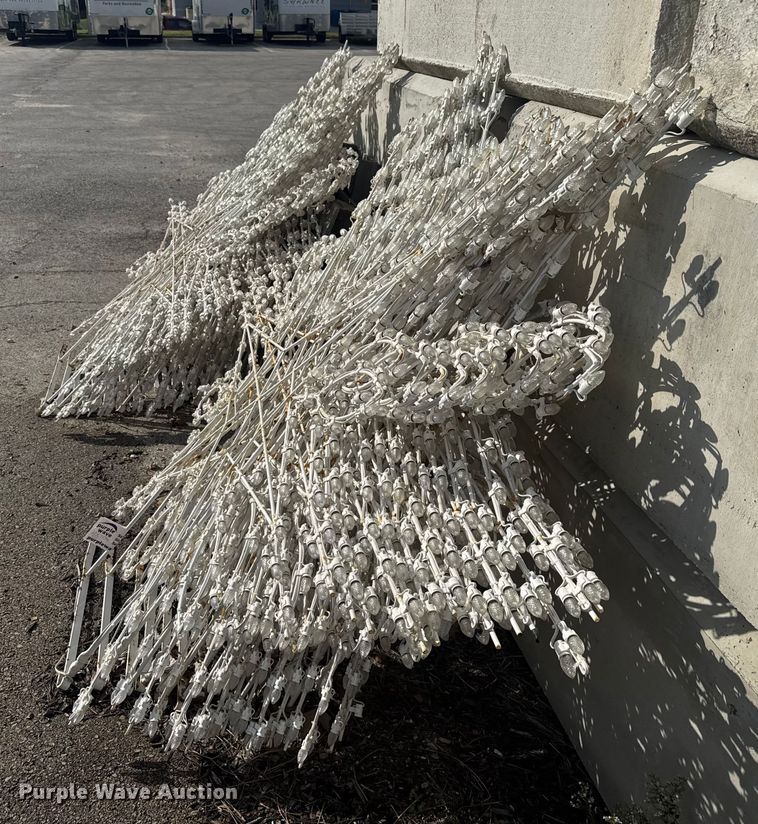 image for item DU3533 Approximately (30) Christmas lights