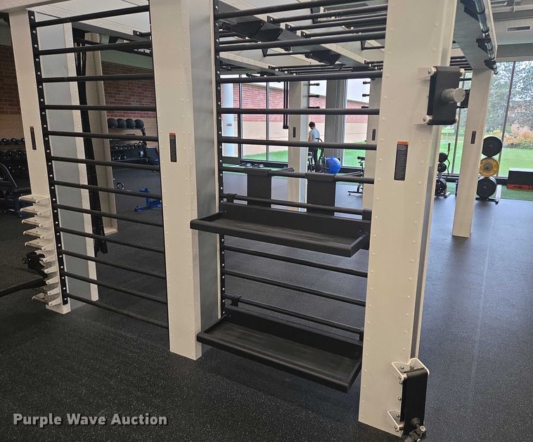 image for item DY1402 Precor Queenax functional training system