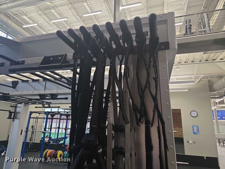 image for item DY1402 Precor Queenax functional training system