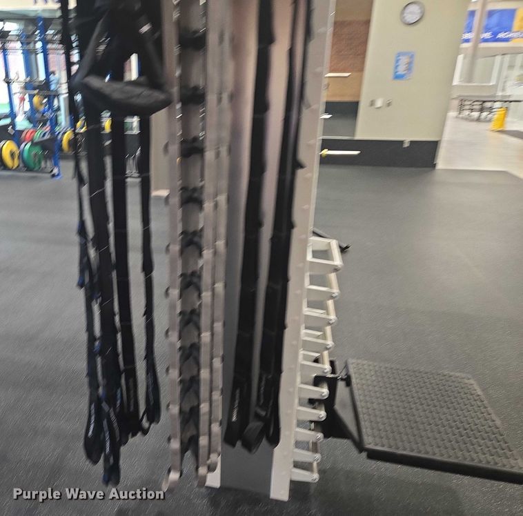 image for item DY1402 Precor Queenax functional training system