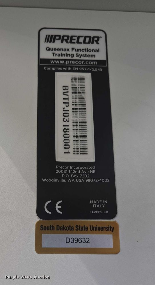 image for item DY1402 Precor Queenax functional training system