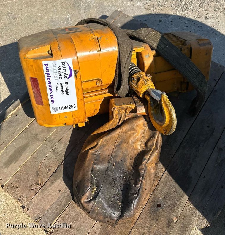 image for item DW4253 Harrington crane hoist 
