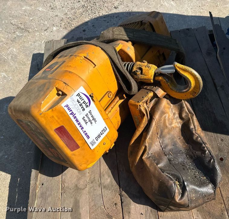image for item DW4253 Harrington crane hoist 