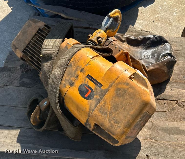 image for item DW4253 Harrington crane hoist 