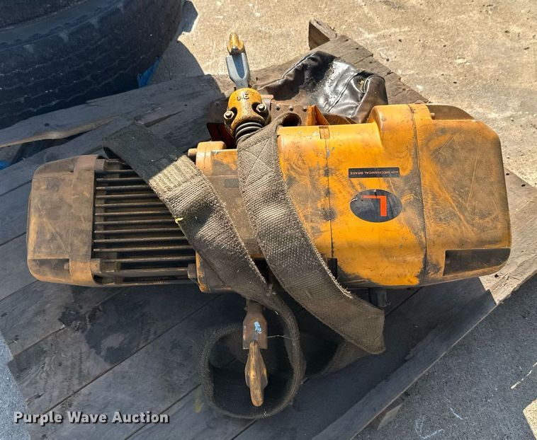 image for item DW4253 Harrington crane hoist 