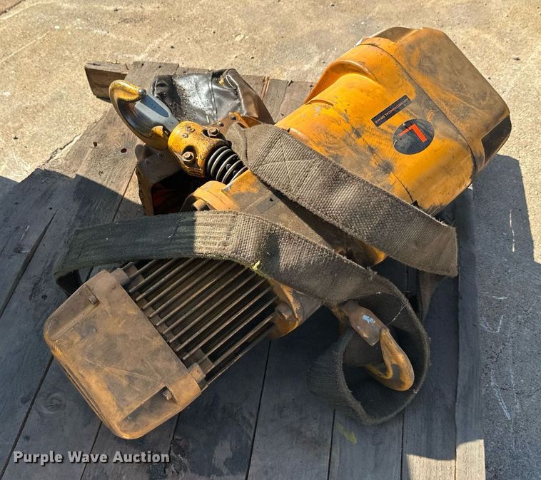 image for item DW4253 Harrington crane hoist 