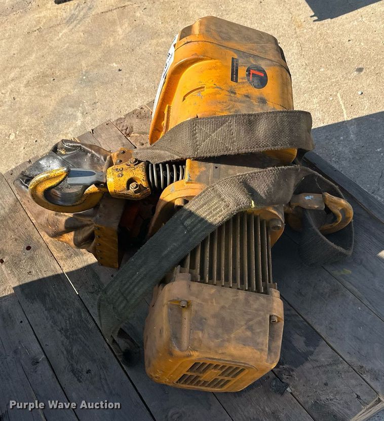 image for item DW4253 Harrington crane hoist 