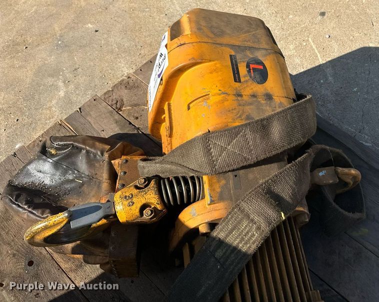 image for item DW4253 Harrington crane hoist 