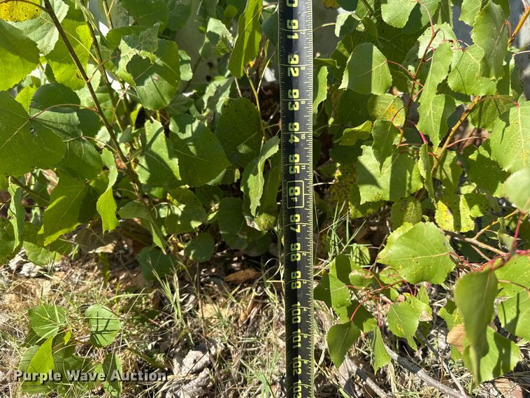 image for item EU5014 Diesel fuel tank