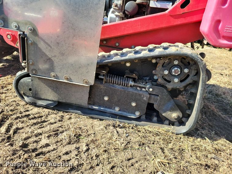 image for item EA2643 Barreto stump grinder