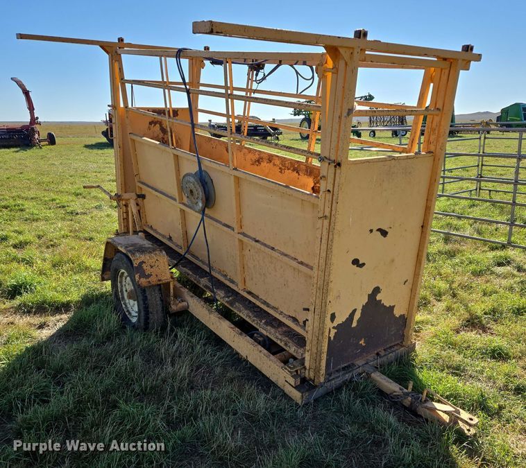 image for item DY1336 For-Most livestock scale