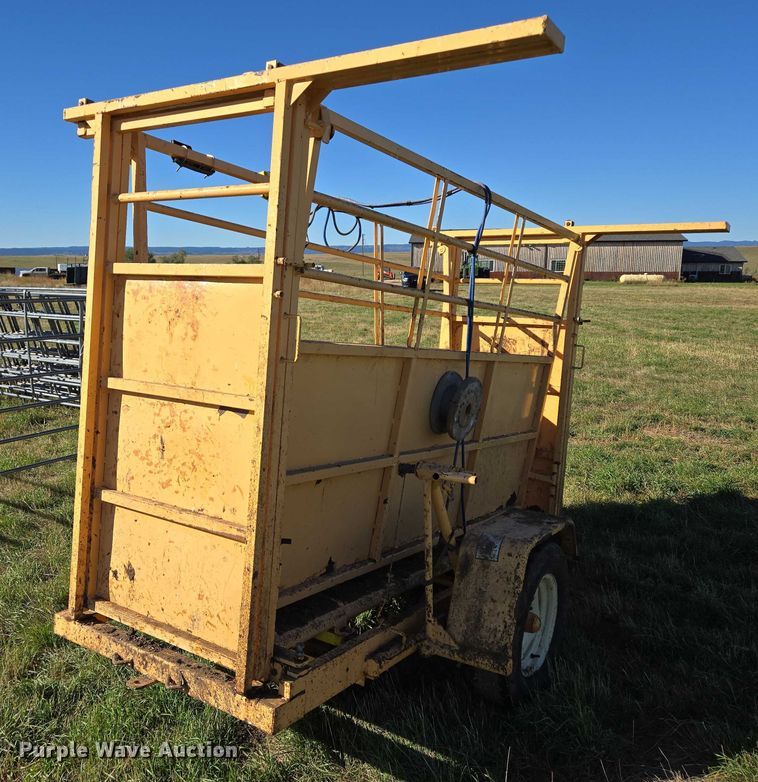 image for item DY1336 For-Most livestock scale