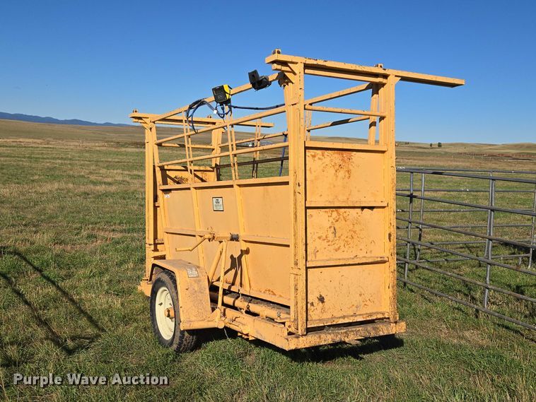 image for item DY1336 For-Most livestock scale