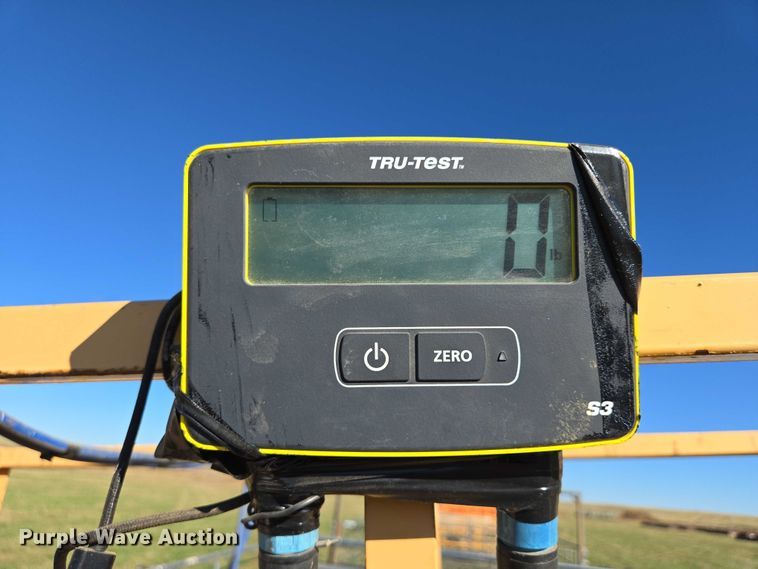 image for item DY1336 For-Most livestock scale