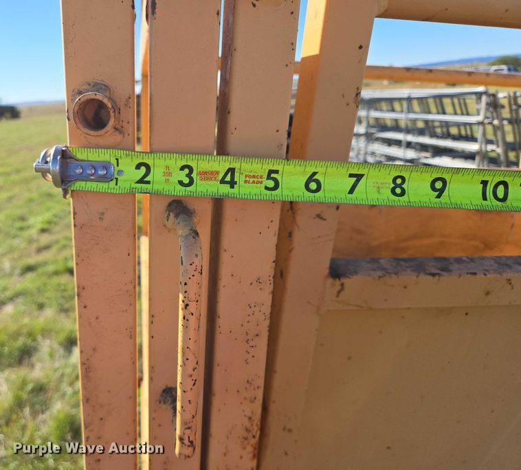 image for item DY1336 For-Most livestock scale