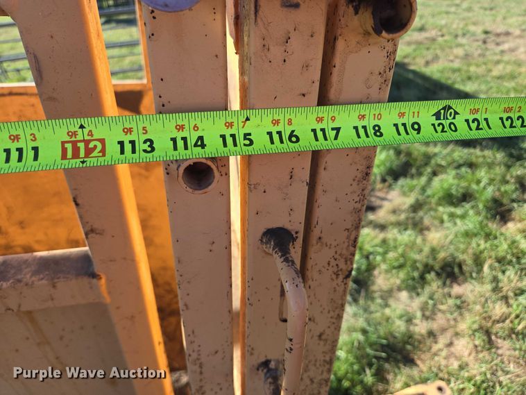 image for item DY1336 For-Most livestock scale