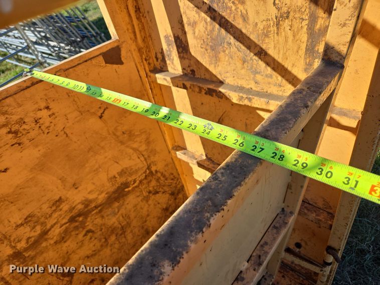 image for item DY1336 For-Most livestock scale