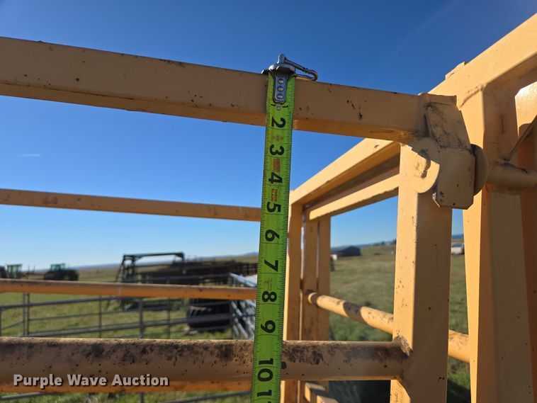 image for item DY1336 For-Most livestock scale