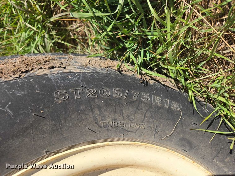 image for item DY1336 For-Most livestock scale