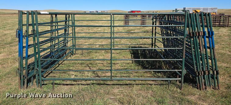 image for item DY1373 (19) livestock panels