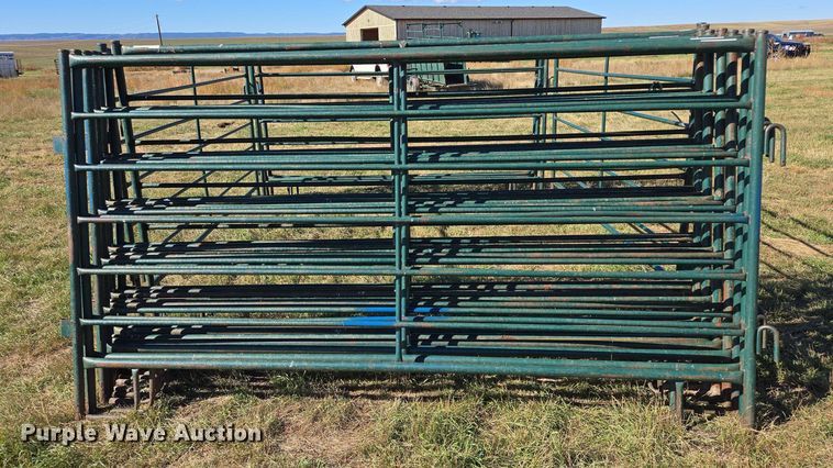 image for item DY1373 (19) livestock panels