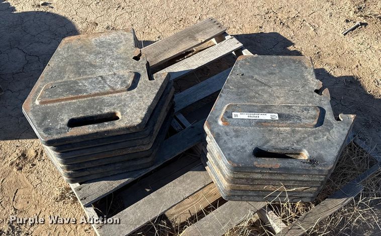 image for item EP0769 (13) suitcase weights