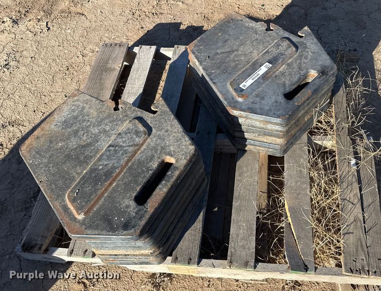 image for item EP0769 (13) suitcase weights