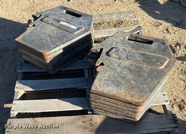 image for item EP0769 (13) suitcase weights