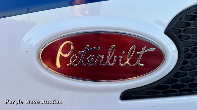 image for item DW6638 2020 Peterbilt 579 semi truck