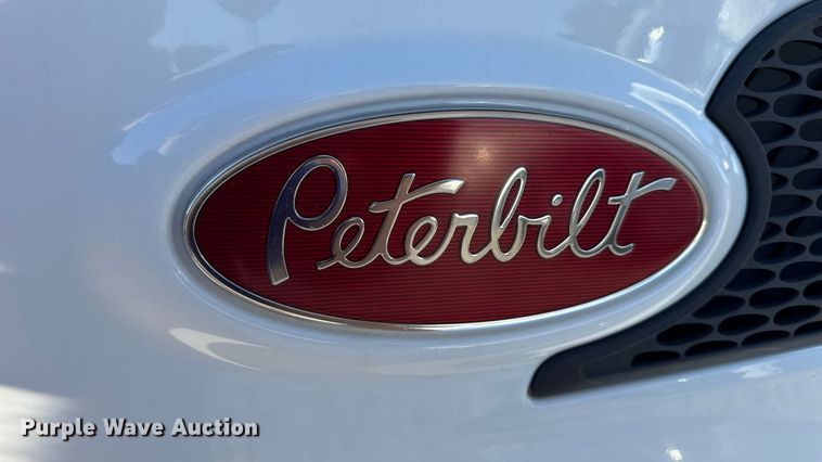 image for item DW6641 2019 Peterbilt 579 semi truck