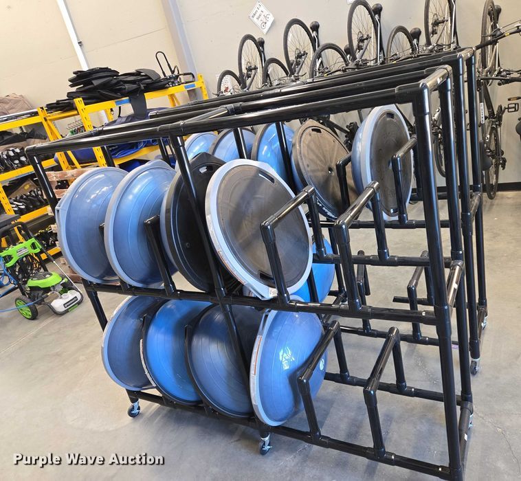 image for item DY1435 (16) Bosu balance training balls