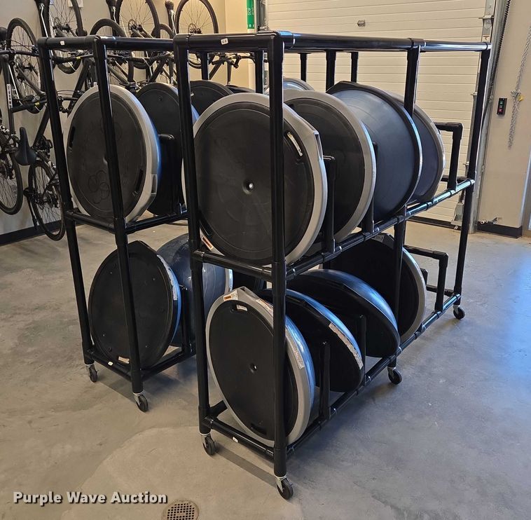 image for item DY1435 (16) Bosu balance training balls