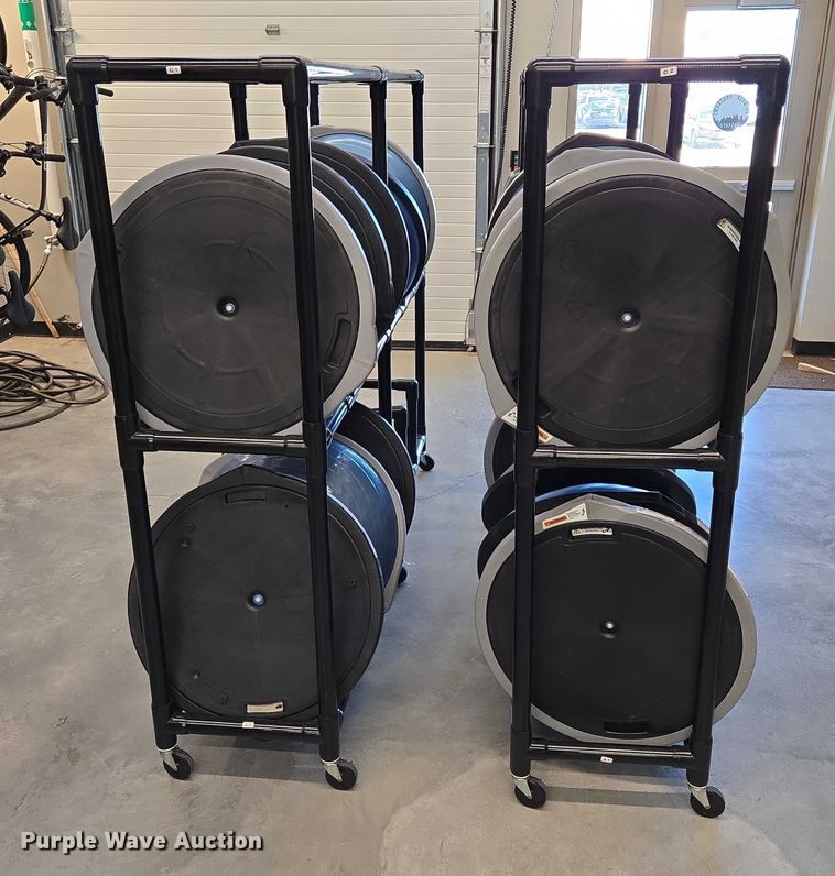 image for item DY1435 (16) Bosu balance training balls