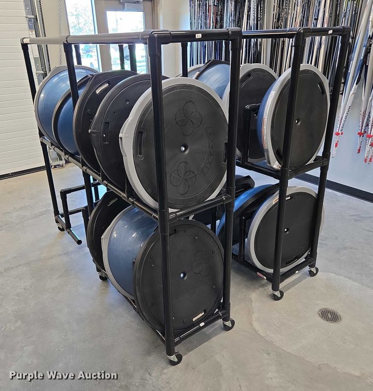 image for item DY1435 (16) Bosu balance training balls