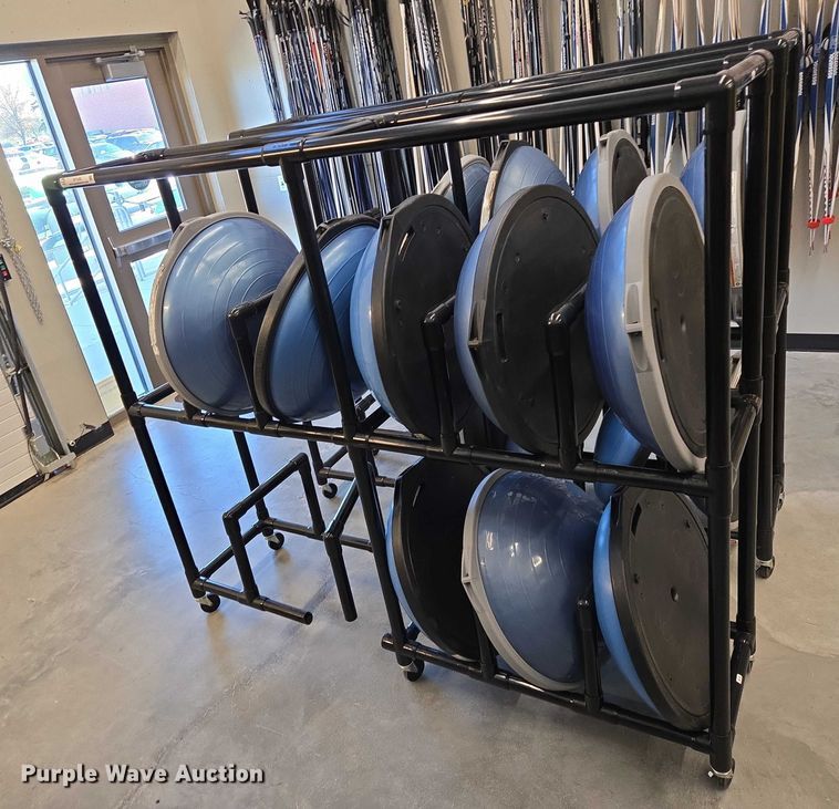 image for item DY1435 (16) Bosu balance training balls