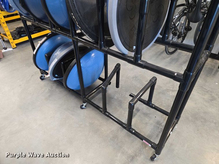 image for item DY1435 (16) Bosu balance training balls