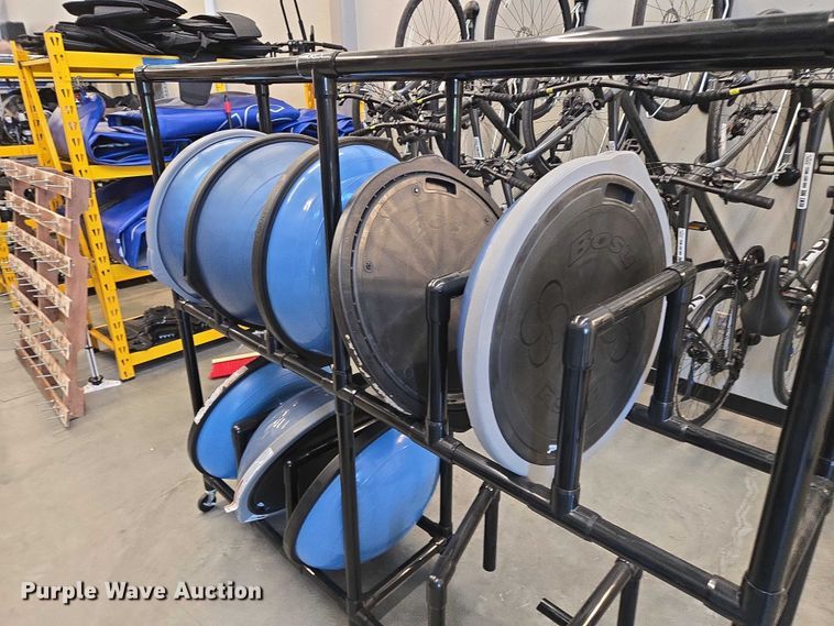 image for item DY1435 (16) Bosu balance training balls