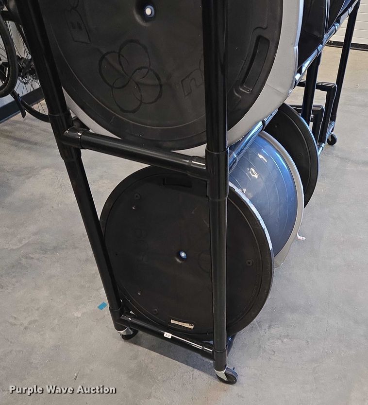 image for item DY1435 (16) Bosu balance training balls