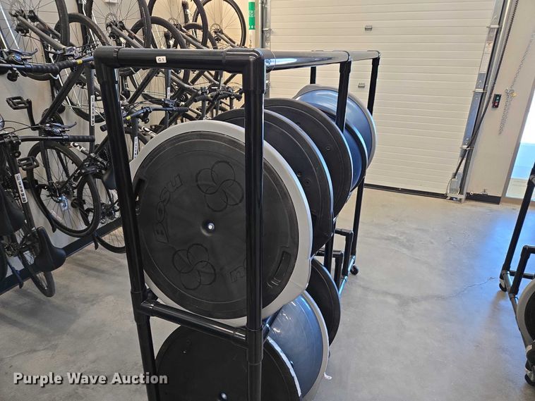 image for item DY1435 (16) Bosu balance training balls