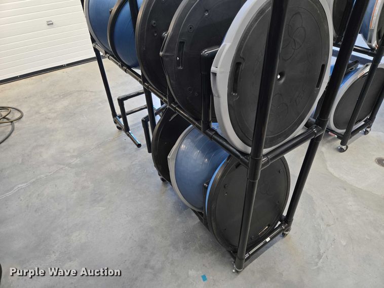 image for item DY1435 (16) Bosu balance training balls