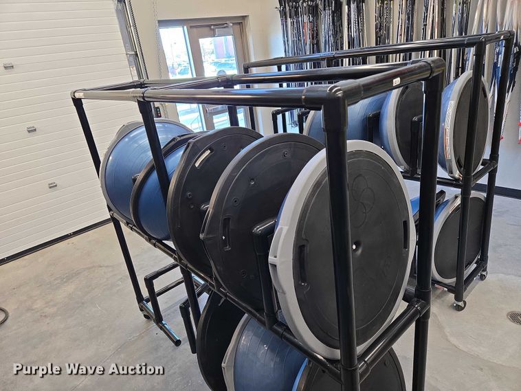 image for item DY1435 (16) Bosu balance training balls