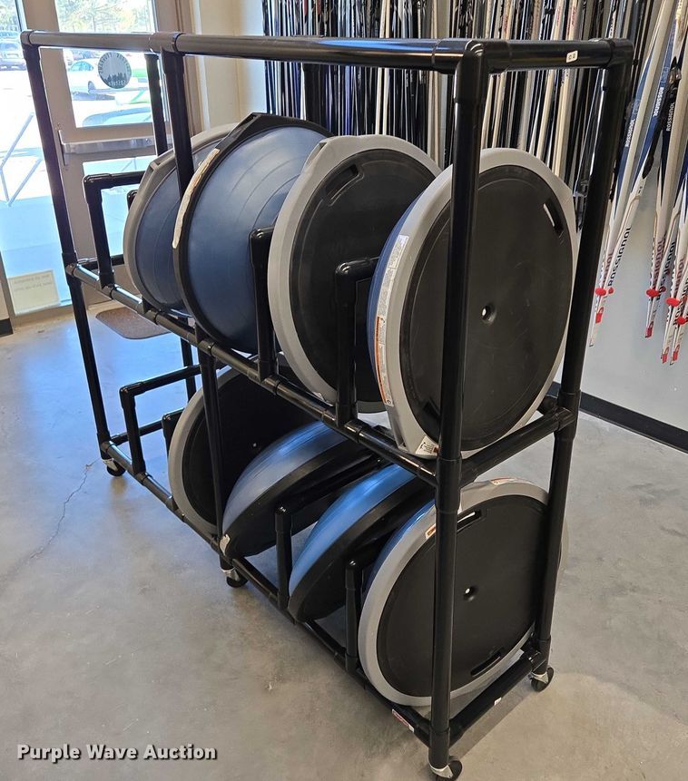 image for item DY1435 (16) Bosu balance training balls