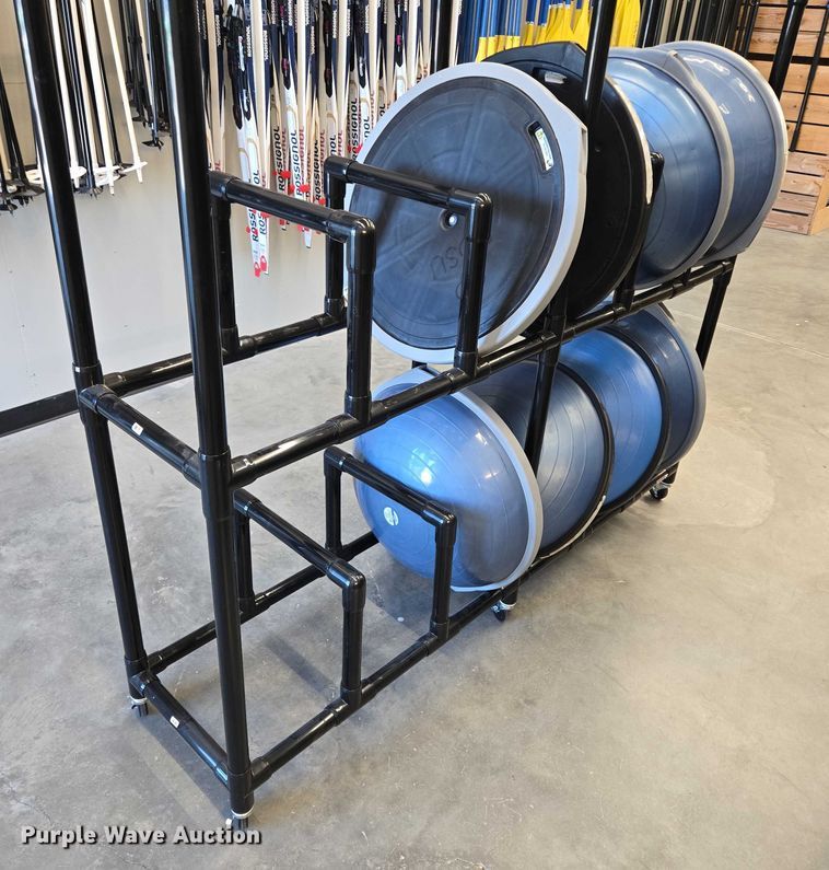 image for item DY1435 (16) Bosu balance training balls