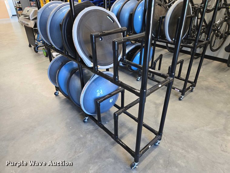 image for item DY1435 (16) Bosu balance training balls