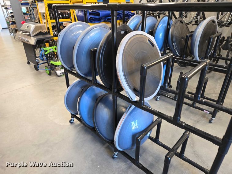 image for item DY1435 (16) Bosu balance training balls