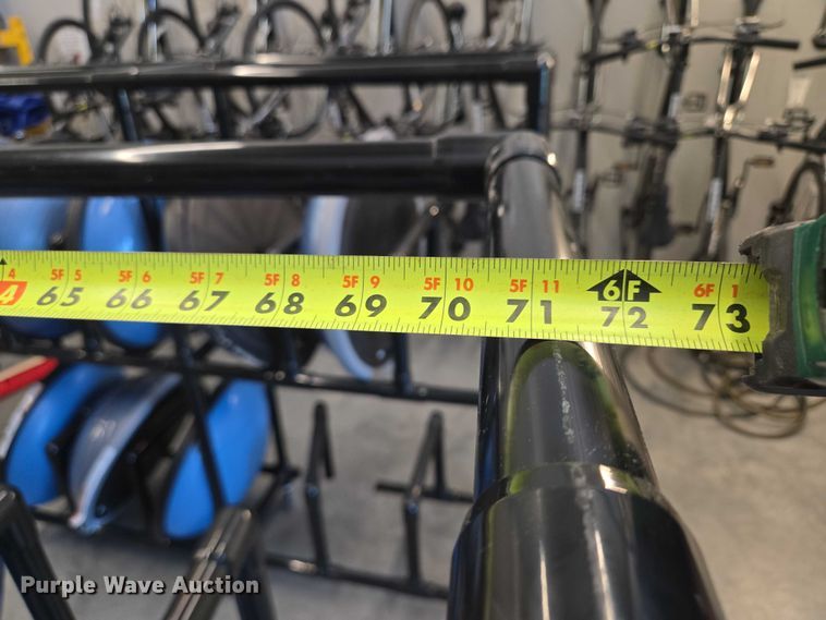 image for item DY1435 (16) Bosu balance training balls