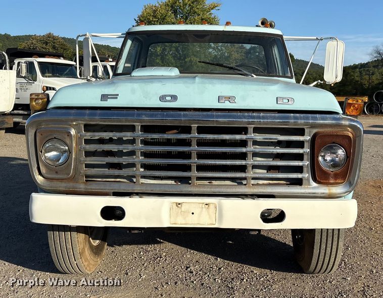CAMIóN 1979 FORD